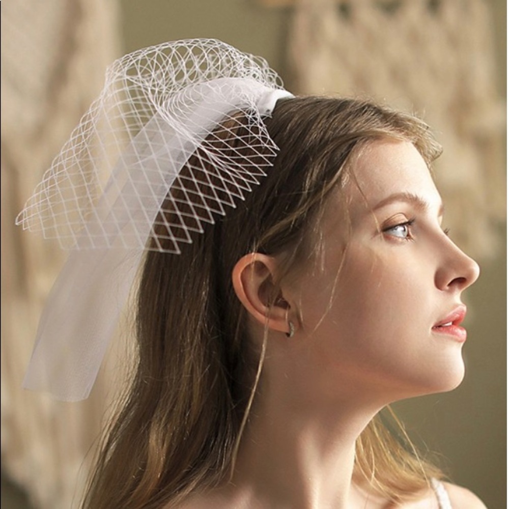 Simple Tulle One-Tier Birdcage Veil